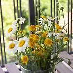 The Captain Be My Guests! By Rv Apartment