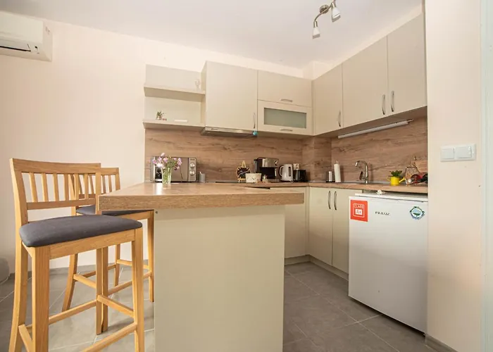 The Captain Be My Guests! By Rv